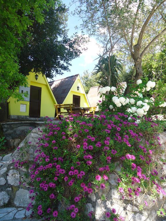 Apartments And Bungalows Mimoza Baosici Herceg Novi Exterior foto