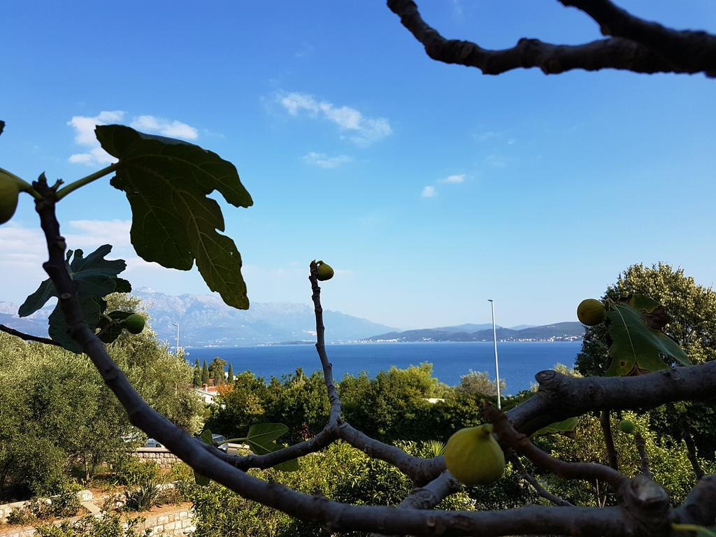 Apartments And Bungalows Mimoza Baosici Herceg Novi Exterior foto