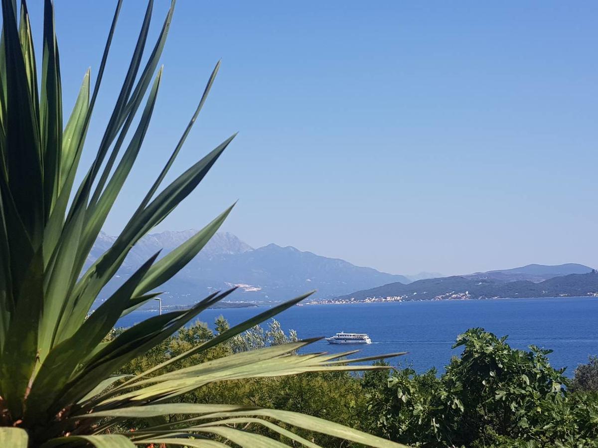 Apartments And Bungalows Mimoza Baosici Herceg Novi Exterior foto